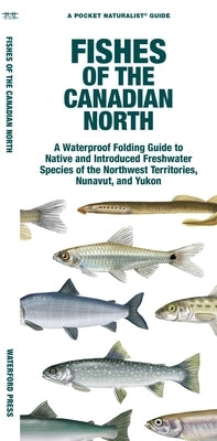 Fishes of the Canadian North: A Waterproof Folding Guide to Native and Introduced Freshwater Species of the Northwest Territories, Nunavut and Yukon by Morris, Matthew