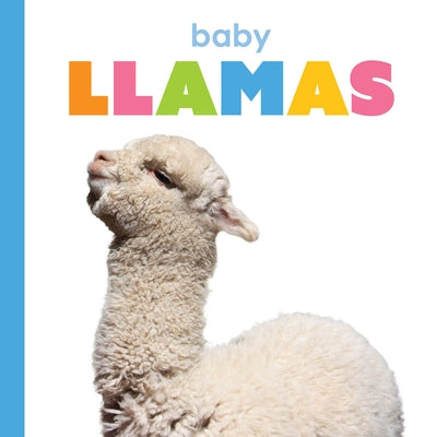 Baby Llamas by Thompson, Kim