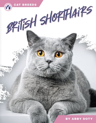 British Shorthairs by Doty, Abby