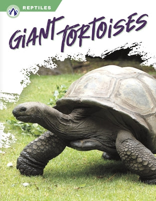 Giant Tortoises by Gendell, Megan