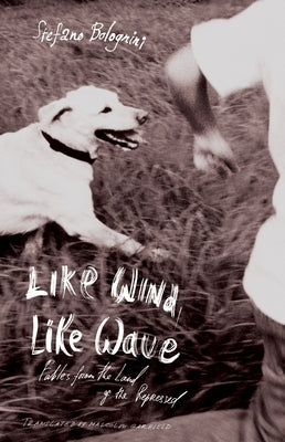 Like Wind, Like Wave by Bolognini, Stefano