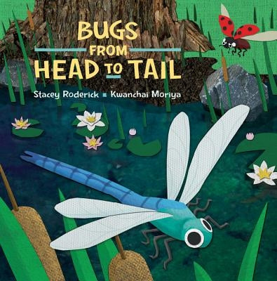 Bugs from Head to Tail by Roderick, Stacey