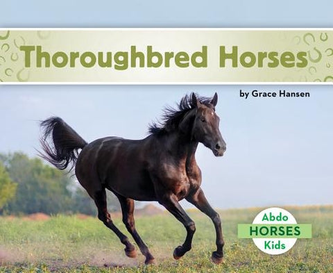 Thoroughbred Horses by Hansen, Grace