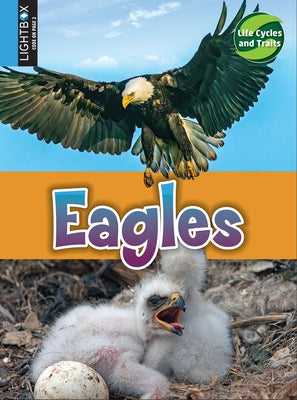 Eagles by Hutmacher, Kimberly M.