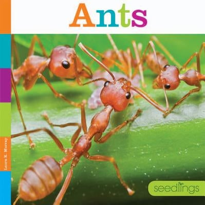 Ants by Murray, Laura K.