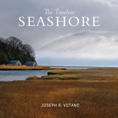 The Timeless Seashore by Votano, Joe