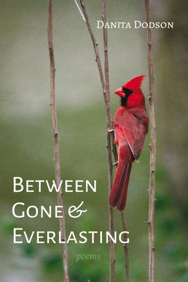 Between Gone and Everlasting by Dodson, Danita