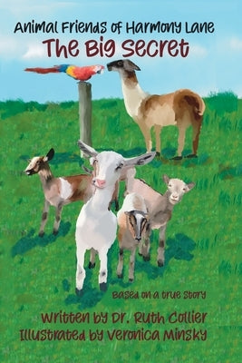 The Big Secret by Collier, Ruth