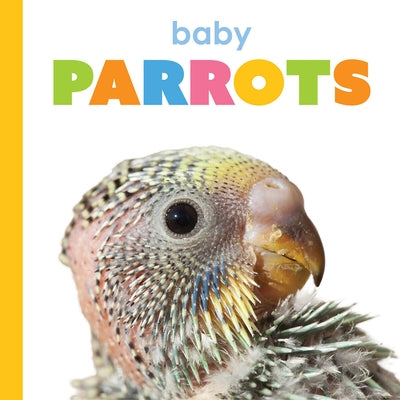 Baby Parrots by Thompson, Kim