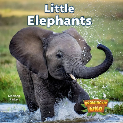 Little Elephants by Parker, Madison