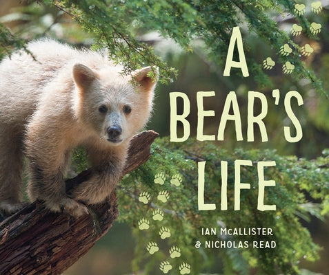 A Bear's Life by McAllister, Ian