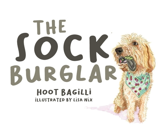 The Sock Burglar by Illustrated Lisa Nix, Hoot Bagilli