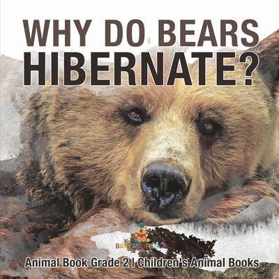 Why Do Bears Hibernate? Animal Book Grade 2 Children's Animal Books by Baby Professor