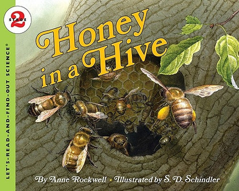 Honey in a Hive by Rockwell, Anne