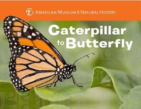Caterpillar to Butterfly by American Museum of Natural History