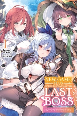 New Game Plus After Defeating the Last Boss, Vol. 1 (Light Novel): All These Beautiful, Problematic Girls in the First Town Have Gotten Really Attache by Akatsuki, Touwa