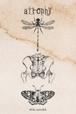 atrophy by Niziolek, Shilo