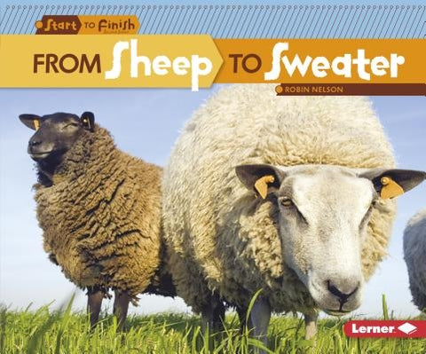 From Sheep to Sweater by Nelson, Robin
