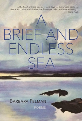 A Brief and Endless Sea by Pelman, Barbara