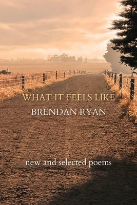 What It Feels Like by Ryan, Brendan