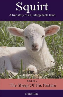 Squirt: A True Story of an Unforgettable Lamb by Hetle, Deb