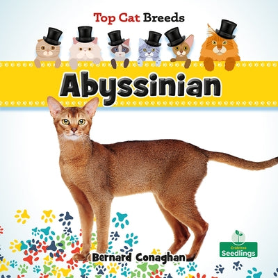 Abyssinian by Conaghan, Bernard