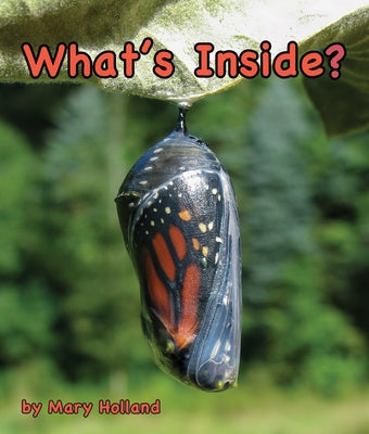 What's Inside? by Holland, Mary