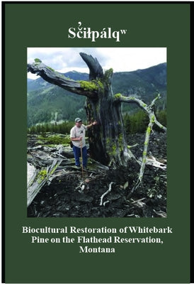 Sãiçpálî: Biocultural Restoration of Whitebark Pine on the Flathead Reservation, Montana by Durglo, Michael