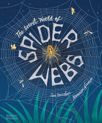 The Secret World of Spiderwebs by Niumim, Namasri