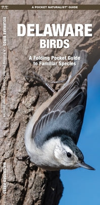 Delaware Birds: A Folding Pocket Guide to Familiar Species by Kavanagh, James