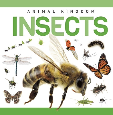 Insects by Phillips-Bartlett, Rebecca