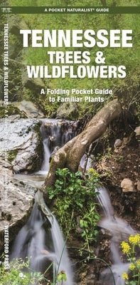Tennessee Trees & Wildflowers by Kavanagh, James