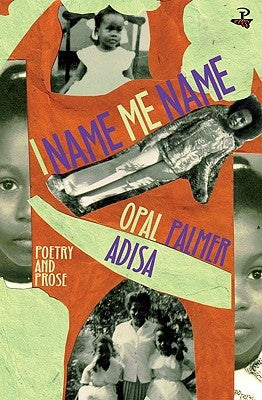 I Name Me Name by Palmer Adisa, Opal