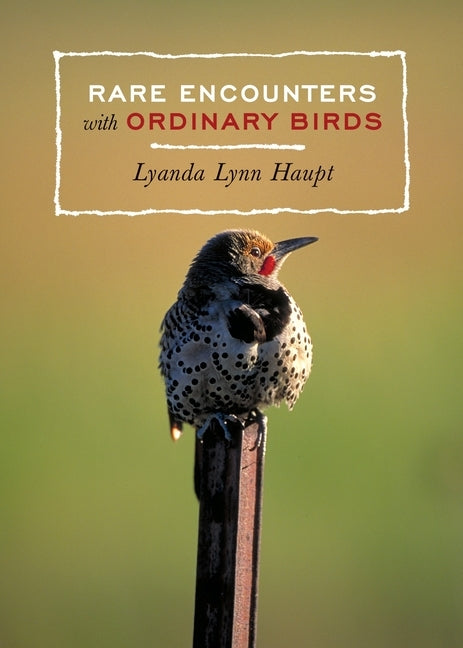 Rare Encounters with Ordinary Birds by Haupt, Lyanda Lynn