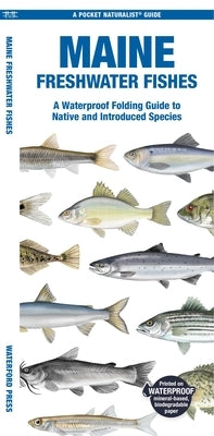 Maine Freshwater Fishes by Morris, Matthew