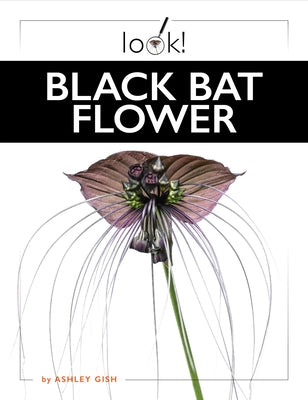 Black Bat Flower by Gish, Ashley