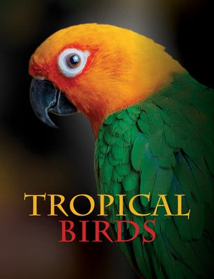 Tropical Birds by Jackson, Tom