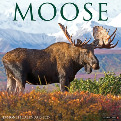 Moose 2026 12 X 12 Wall Calendar by Willow Creek Press