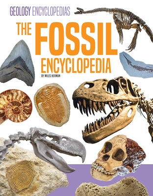 Fossil Encyclopedia by Herman, Miles