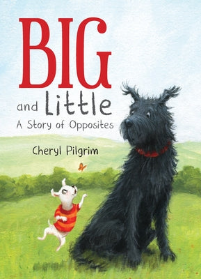Big and Little: A Story of Opposites by Pilgrim, Cheryl
