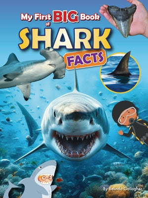 My First Big Book of Shark Facts by Gallagher, Belinda