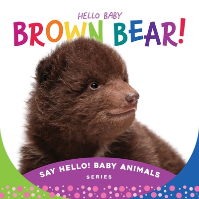 Hello Baby Brown Bear! by Rose, Beverly