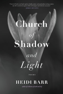 Church of Shadow and Light by Barr, Heidi