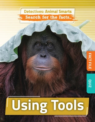 Using Tools by O'Daly, Anne