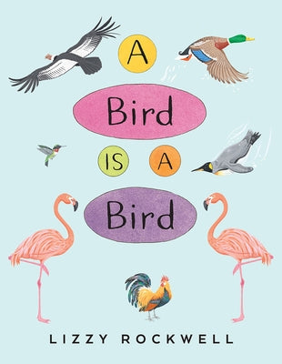 A Bird Is a Bird by Rockwell, Lizzy
