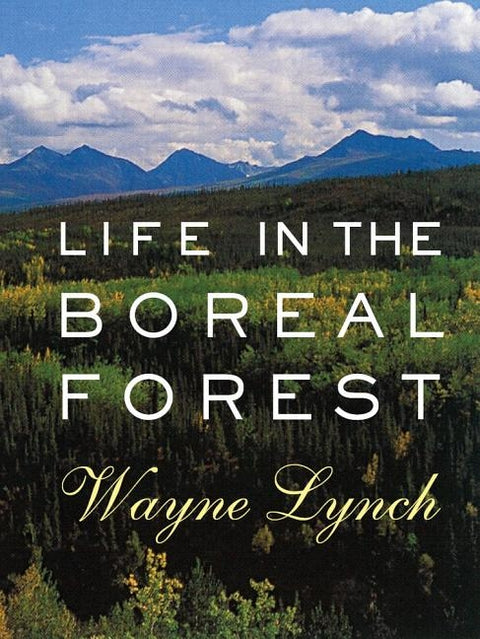 Life in the Boreal Forest by Lynch, Wayne