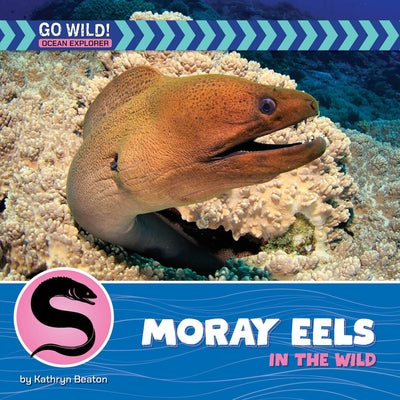 Moray Eels in the Wild by Beaton, Kathryn