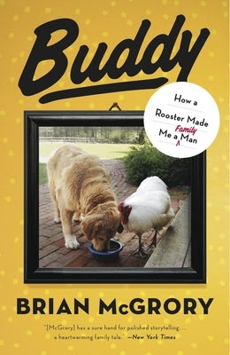 Buddy: How a Rooster Made Me a Family Man by McGrory, Brian