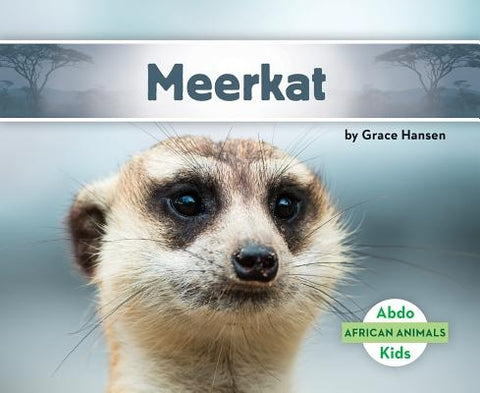 Meerkat by Hansen, Grace