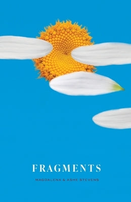 Fragments by Stevens, Magdalena